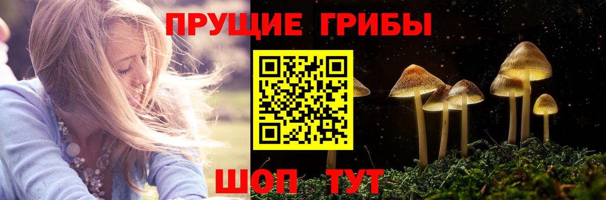 Псилоцибиновые грибы ЛСД  Вход с VPN  Галлюциногенные грибы Cubensis  Славгород 